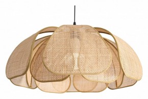 Подвесной светильник Freya Cocoon FR5529PL-01B в Коротчаево - korotchaevo.ok-mebel.com | фото