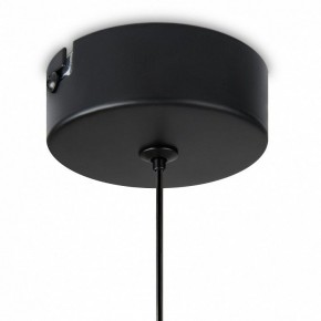 Подвесной светильник Freya Idol FR6134PL-L4SM в Коротчаево - korotchaevo.ok-mebel.com | фото 8