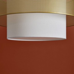 Подвесной светильник Freya Lattice FR5528PL-01BS в Коротчаево - korotchaevo.ok-mebel.com | фото 9