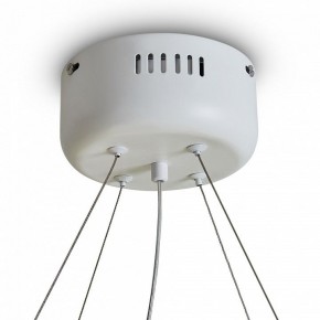 Подвесной светильник Freya Rain FR5546PL-L60W в Коротчаево - korotchaevo.ok-mebel.com | фото 9