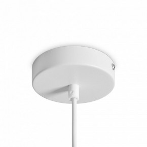 Подвесной светильник Freya Shapes FR5530PL-L10W в Коротчаево - korotchaevo.ok-mebel.com | фото 5