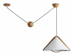 Подвесной светильник Freya Umbra FR5554CL-01T в Коротчаево - korotchaevo.ok-mebel.com | фото