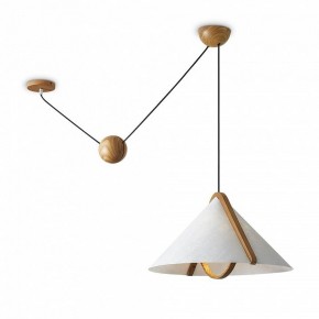 Подвесной светильник Freya Umbra FR5554CL-01T в Коротчаево - korotchaevo.ok-mebel.com | фото 2