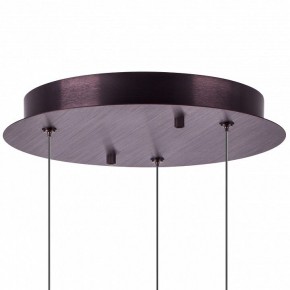Подвесной светильник Lightstar Caramello 796139 в Коротчаево - korotchaevo.ok-mebel.com | фото 13