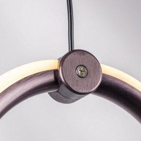 Подвесной светильник Lightstar Caramello 796349 в Коротчаево - korotchaevo.ok-mebel.com | фото 10