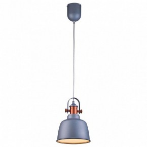 Подвесной светильник Lucia Tucci Industrial INDUSTRIAL 1820.1 SAND SILVER в Коротчаево - korotchaevo.ok-mebel.com | фото 2