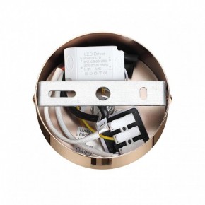 Подвесной светильник Lumion Cristie 8009/6L в Коротчаево - korotchaevo.ok-mebel.com | фото 6