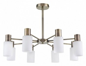Подвесной светильник Lumion Mave 8100/8C в Коротчаево - korotchaevo.ok-mebel.com | фото
