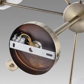 Подвесной светильник Lumion Mave 8100/8C в Коротчаево - korotchaevo.ok-mebel.com | фото 6