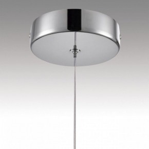 Подвесной светильник Lumion Solida 8088/1A в Коротчаево - korotchaevo.ok-mebel.com | фото 8