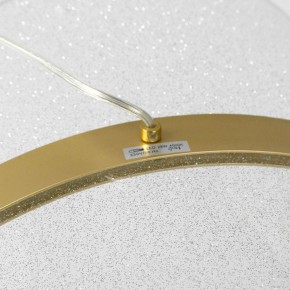 Подвесной светильник Lussole Bradford LSP-7159 в Коротчаево - korotchaevo.ok-mebel.com | фото 4