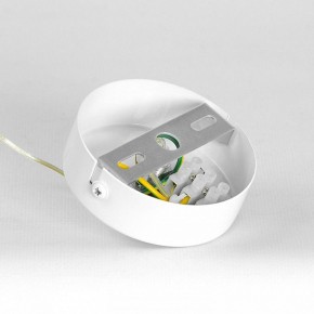 Подвесной светильник Lussole Gregg LSP-8963 в Коротчаево - korotchaevo.ok-mebel.com | фото 7