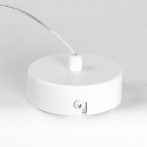 Подвесной светильник Lussole Gregg LSP-8963 в Коротчаево - korotchaevo.ok-mebel.com | фото 8