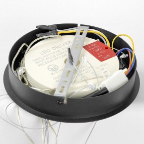 Подвесной светильник Lussole Hale LSP-7380 в Коротчаево - korotchaevo.ok-mebel.com | фото 6