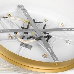 Подвесной светильник Lussole Hopkins LSP-7404 в Коротчаево - korotchaevo.ok-mebel.com | фото 4