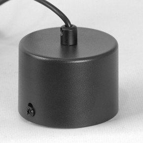 Подвесной светильник Lussole Milam LSP-7450 в Коротчаево - korotchaevo.ok-mebel.com | фото 7