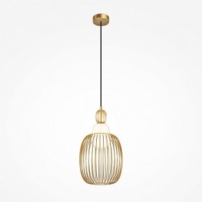 Подвесной светильник Maytoni Levitation MOD376PL-01G1 в Коротчаево - korotchaevo.ok-mebel.com | фото 2