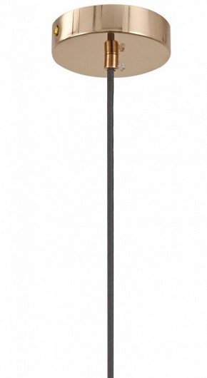 Подвесной светильник Moderli Charm V11176-1P в Коротчаево - korotchaevo.ok-mebel.com | фото 8