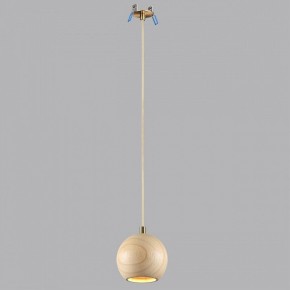 Подвесной светильник Odeon Light Caucho 7061/1 в Коротчаево - korotchaevo.ok-mebel.com | фото 3