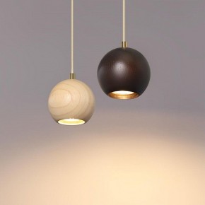 Подвесной светильник Odeon Light Caucho 7062/1 в Коротчаево - korotchaevo.ok-mebel.com | фото 6