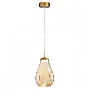 Подвесной светильник Odeon Light Nave 5098/4L в Коротчаево - korotchaevo.ok-mebel.com | фото 2