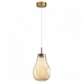 Подвесной светильник Odeon Light Nave 5098/4L в Коротчаево - korotchaevo.ok-mebel.com | фото 4