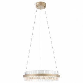 Подвесной светильник ST-Luce Cherio SL383.203.01 в Коротчаево - korotchaevo.ok-mebel.com | фото 3