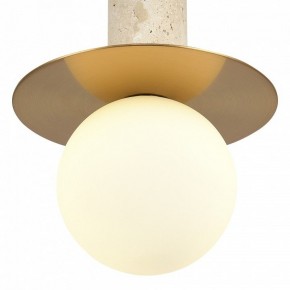 Подвесной светильник ST-Luce Earthy SL1194.303.01 в Коротчаево - korotchaevo.ok-mebel.com | фото 5
