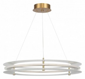 Подвесной светильник ST-Luce FAGY SL6245.203.01 в Коротчаево - korotchaevo.ok-mebel.com | фото 3