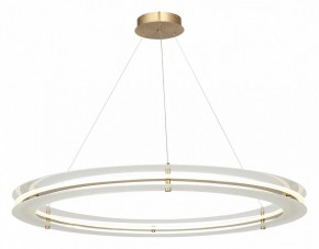 Подвесной светильник ST-Luce FAGY SL6245.213.01 в Коротчаево - korotchaevo.ok-mebel.com | фото 4