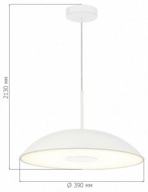 Подвесной светильник ST-Luce Lido SL6128.503.01 в Коротчаево - korotchaevo.ok-mebel.com | фото 4