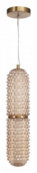Подвесной светильник ST-Luce SAGUARO SL6144.303.01 в Коротчаево - korotchaevo.ok-mebel.com | фото 3