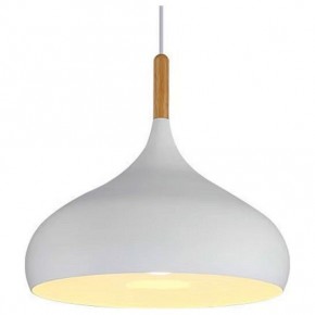 Подвесной светильник TopDecor Molto Molto S1 10 в Коротчаево - korotchaevo.ok-mebel.com | фото