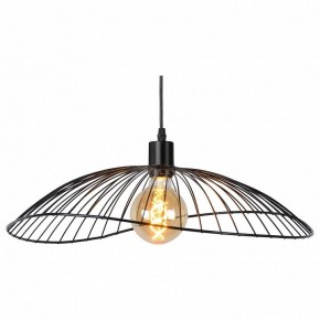 Подвесной светильник TopLight Agnes TL1196H-01BK в Коротчаево - korotchaevo.ok-mebel.com | фото