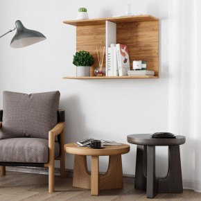 Полка Ион-3 (крафт/белый) в Коротчаево - korotchaevo.ok-mebel.com | фото 3