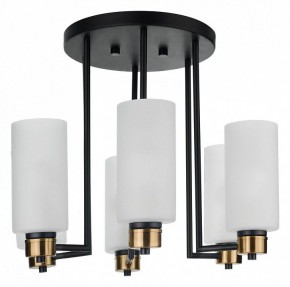 Потолочная люстра 33 идеи CHN900 CHN900.06.BL17.ASB-S16WH в Коротчаево - korotchaevo.ok-mebel.com | фото 3