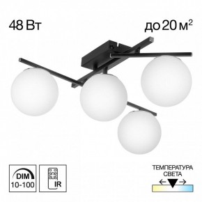 Потолочная люстра Citilux Dorsy CL223142 в Коротчаево - korotchaevo.ok-mebel.com | фото 9