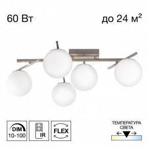 Потолочная люстра Citilux Dorsy CL223151 в Коротчаево - korotchaevo.ok-mebel.com | фото 2