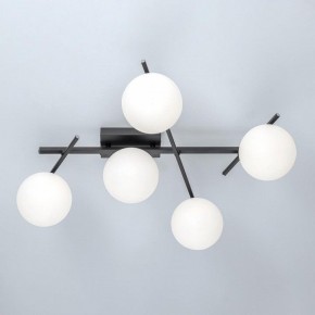 Потолочная люстра Citilux Dorsy CL223152 в Коротчаево - korotchaevo.ok-mebel.com | фото 6