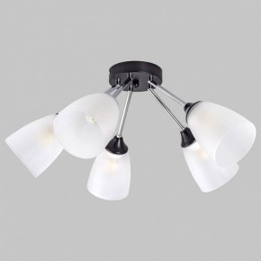 Потолочная люстра Imex MD.2167 MD.2167-5-S-BK+CH в Коротчаево - korotchaevo.ok-mebel.com | фото