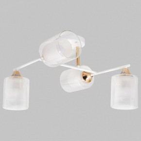 Потолочная люстра Imex MD.2188 MD.2188-4-S-WH+FGD в Коротчаево - korotchaevo.ok-mebel.com | фото