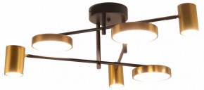 Потолочная люстра Kink Light Рапис 07645-6D,19(20) в Коротчаево - korotchaevo.ok-mebel.com | фото