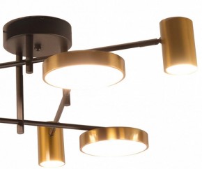 Потолочная люстра Kink Light Рапис 07645-6D,19(20) в Коротчаево - korotchaevo.ok-mebel.com | фото 2