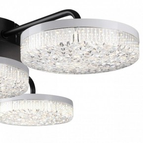 Потолочная люстра Lumion Didana 8236/4CL в Коротчаево - korotchaevo.ok-mebel.com | фото 7