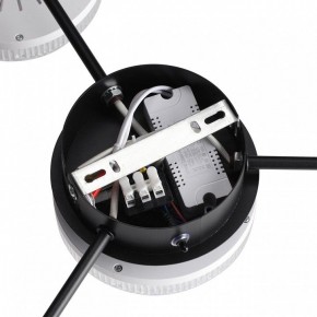 Потолочная люстра Lumion Didana 8236/4CL в Коротчаево - korotchaevo.ok-mebel.com | фото 9