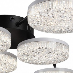 Потолочная люстра Lumion Didana 8236/6CL в Коротчаево - korotchaevo.ok-mebel.com | фото 9