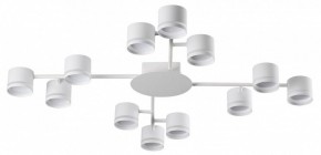 Потолочная люстра Lumion Gareta 8235/12C в Коротчаево - korotchaevo.ok-mebel.com | фото