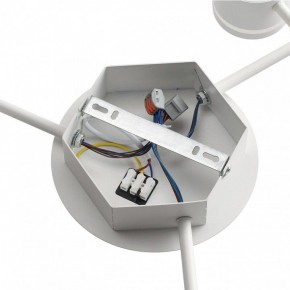 Потолочная люстра Lumion Gareta 8235/9C в Коротчаево - korotchaevo.ok-mebel.com | фото 6