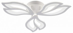 Потолочная люстра Natali Kovaltseva FORTUNA LED LAMPS 81107/2C в Коротчаево - korotchaevo.ok-mebel.com | фото
