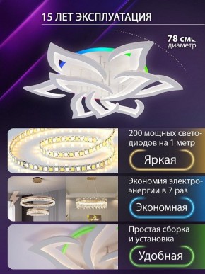 Потолочная люстра Natali Kovaltseva OLIMP LED LAMPS 81435 в Коротчаево - korotchaevo.ok-mebel.com | фото 5